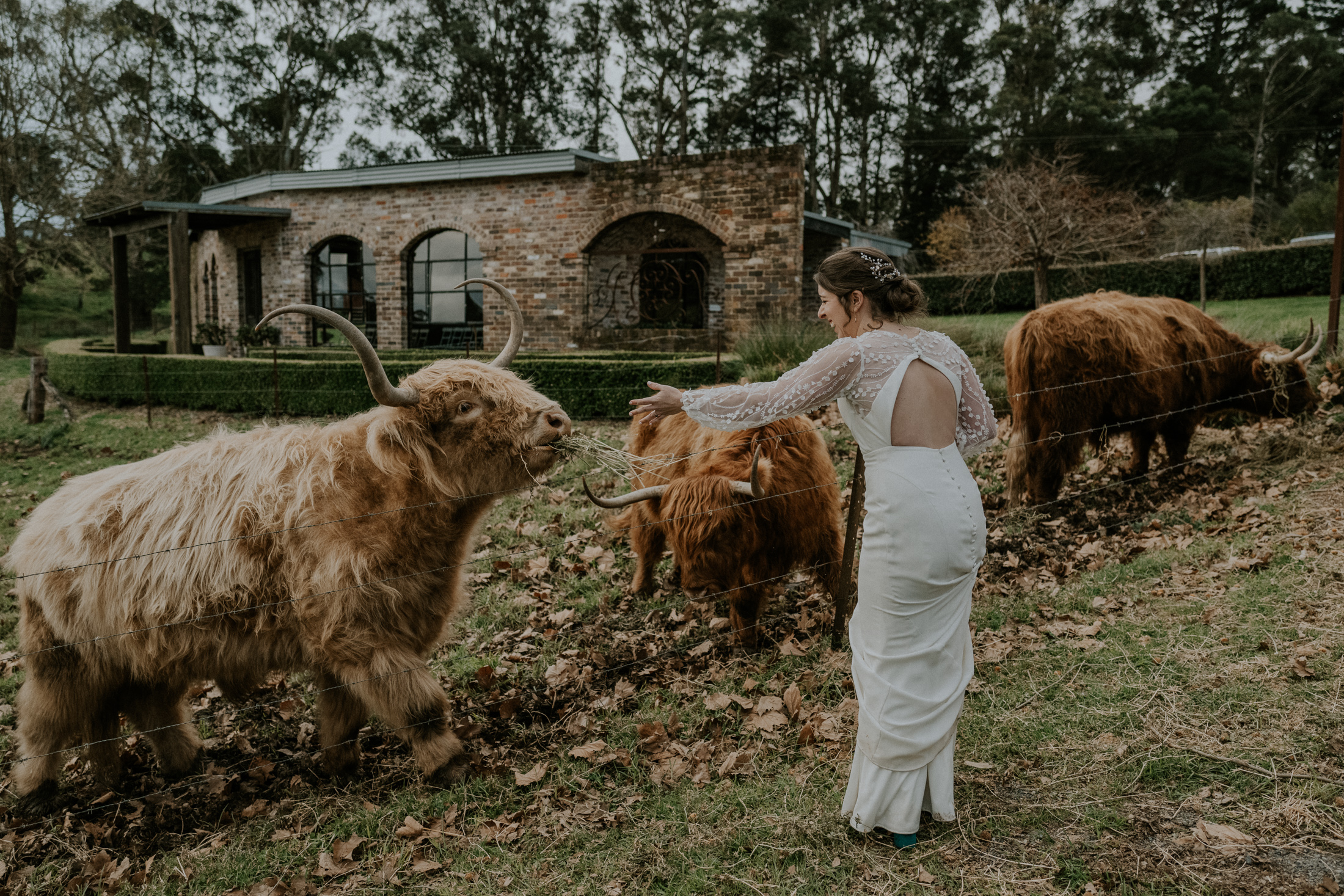 Mali Brae Farm wedding